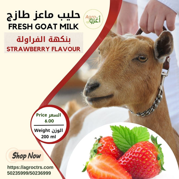 Strawberry Goat Milk 200ml – حليب ماعز بالفراولة 200مل