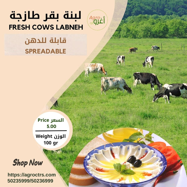 Fresh Cows Labneh 100g - لبنة بقر طازجة 100غ