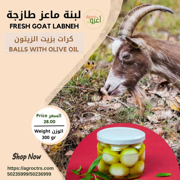 Goat labneh balls with oil 300gr – كرات لبنة الماعز بالزيت 300غ