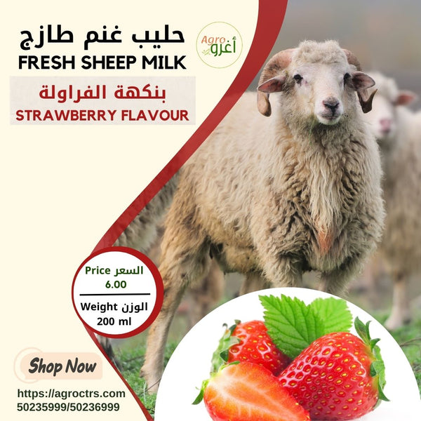 Strawberry Sheep Milk 200 ml – حليب غنم بالفراولة 200مل