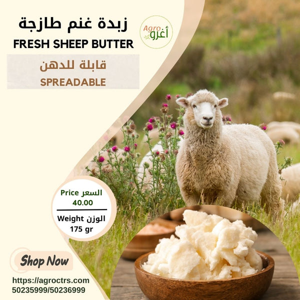 Fresh Sheep butter 175 gr – زبدة غنم طازجة 175غ
