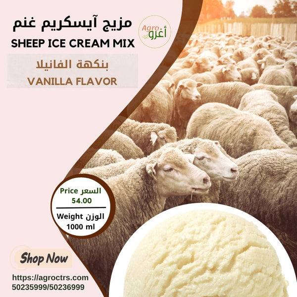Sheep Vanilla Ice Cream Mix 1000 ml – مزيج آيسكريم غنم فانيلا 1000 مل