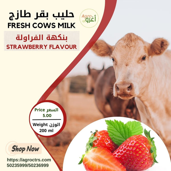 Country Cow Milk with Strawberry 200 ml - حليب بقر بلدي بالفراولة 200 مل