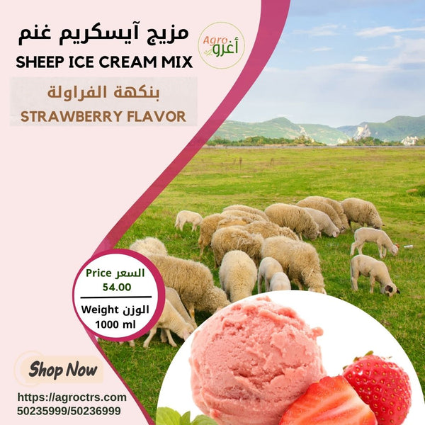 Sheep Strawberry Ice Cream Mix 1000 ml – مزيج آيسكريم غنم فراولة 1000 مل