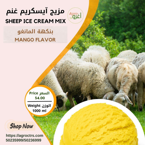 Sheep Mango Ice Cream Mix 1000 ml – مزيج آيسكريم غنم بالمانغو 1000 مل