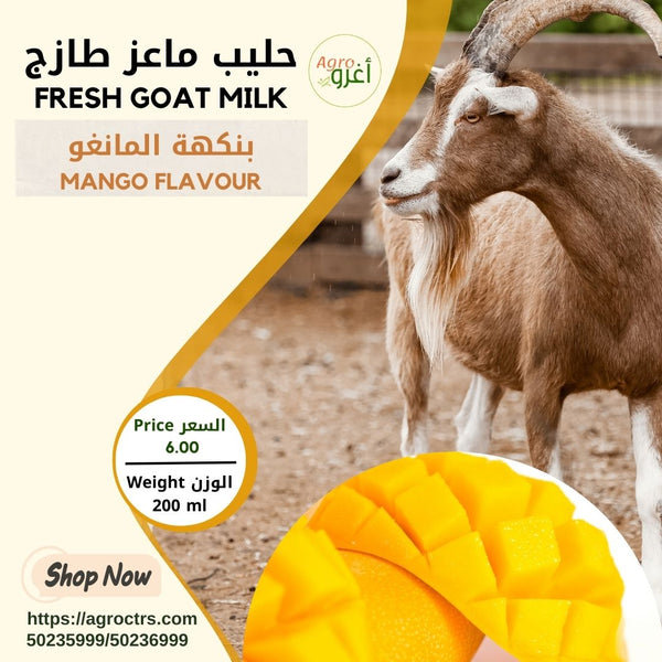 Mango Goat Milk 200ml – حليب ماعز بالمانغو 200مل