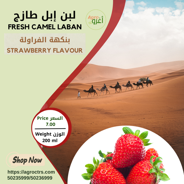 Strawberry Camel Laban 200ml - لبن إبل بالفراولة 200مل