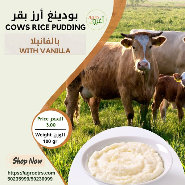 Cows Rice Pudding with Vanilla 100g - بودينغ أرز بقر بالفانيلا 100غ