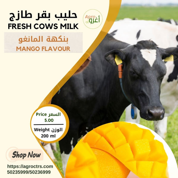 Country Cow Milk with Mango 200 ml - حليب بقر بلدي بالمانغو 200 مل