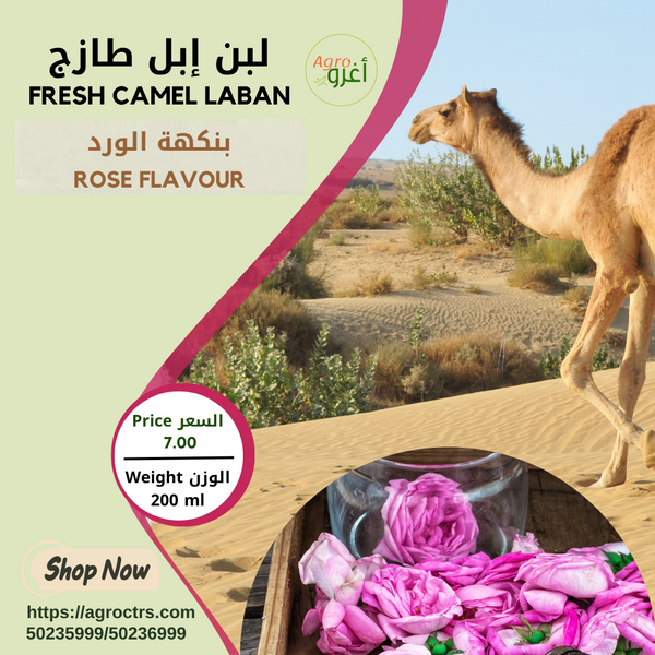 Rose Camel Laban 200ml - لبن إبل بالورد 200مل