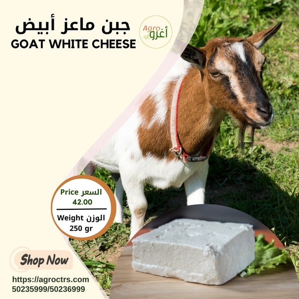 Goat White Cheese 250gr – جبن ماعز أبيض 250 غرام