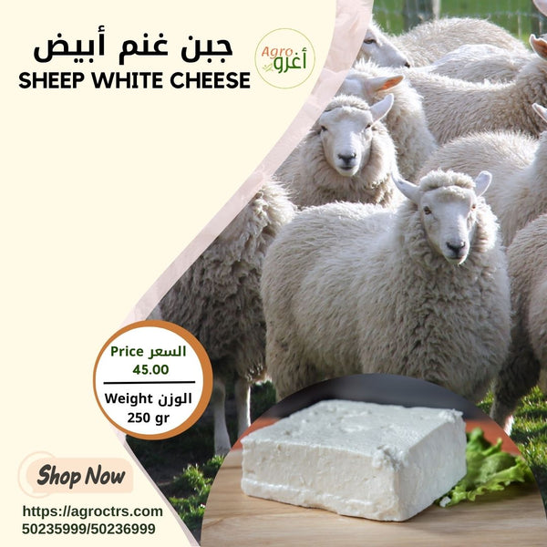 Sheep White Cheese 250gr – جبن غنم أبيض 250غ