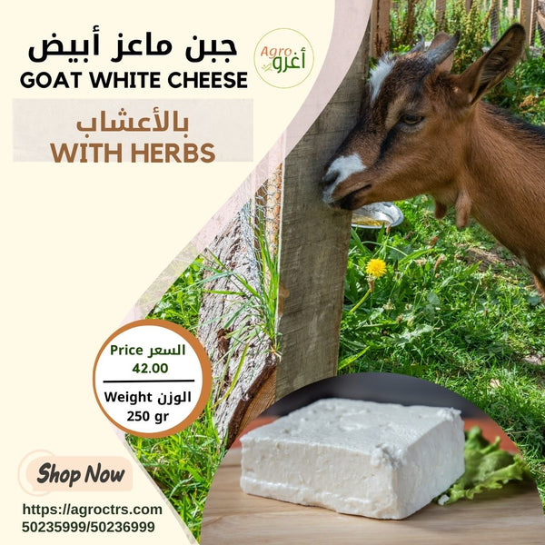 Herbs Goat White Cheese 250gr – جبن ماعز أبيض بالأعشاب 250 غرام