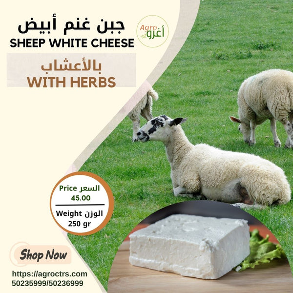 Sheep White Cheese 250gr – جبن غنم أبيض 250غ