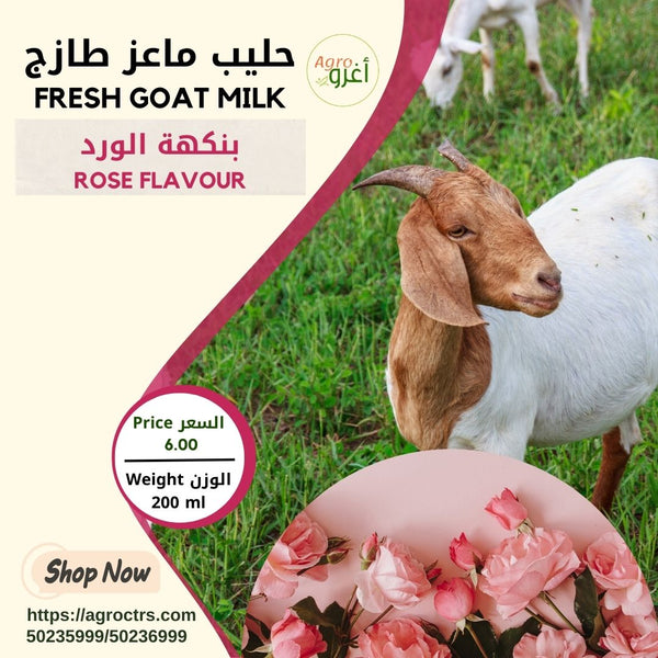 Rose Goat Milk 200ml – حليب ماعز بالورد 200مل