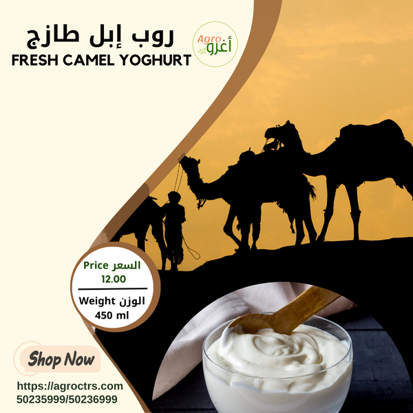 Fresh Camel Yoghurt 450ml - روب إبل طازج 450مل