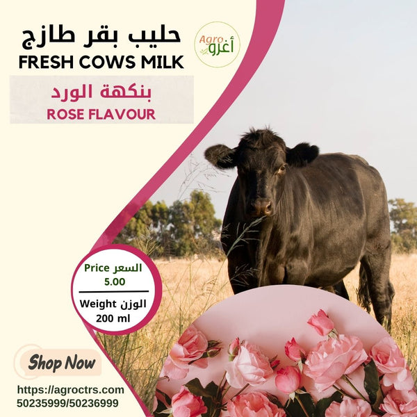 Country Cow Milk with Rose 200 ml - حليب بقر بلدي بالورد 200 مل