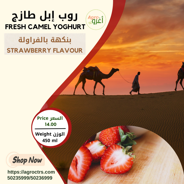 Strawberry Camel Yoghurt 450ml - روب إبل بالفراولة 450مل