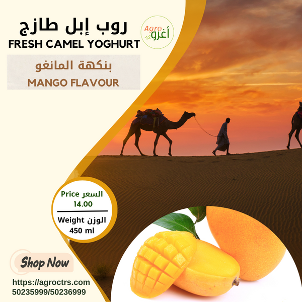 Mango Camel Yoghurt 450ml - روب إبل بالمانغو 450مل