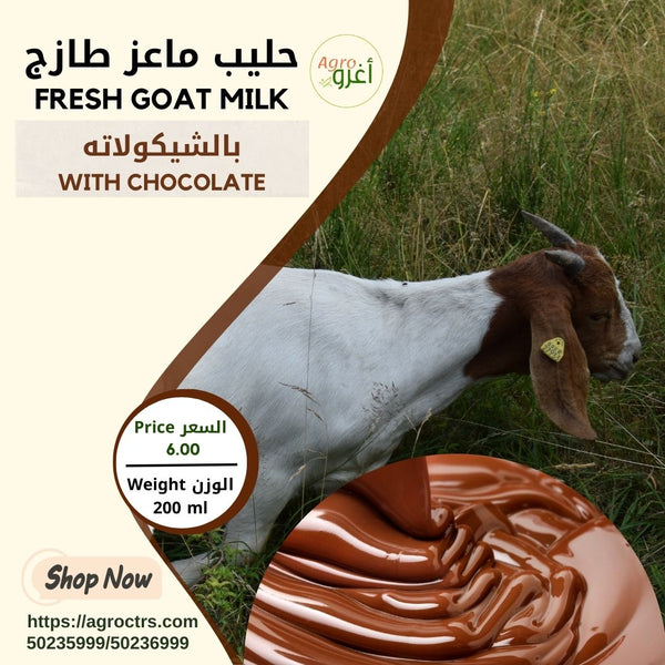 Chocolate Goat Milk 200ml – حليب ماعز بالشيكولاته 200مل