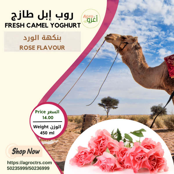 Rose Camel Yoghurt 450ml - روب إبل بالورد 450مل