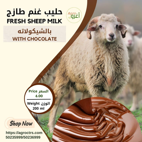 Chocolate Sheep Milk 200 ml – حليب غنم بالشيكولاته 200مل