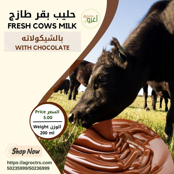 Country Cow Milk with Chocolate 200 ml - حليب بقر بلدي بالشيكولاته 200 مل