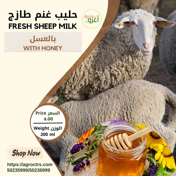 Honey Sheep Milk 200 ml – حليب غنم بالعسل 200مل