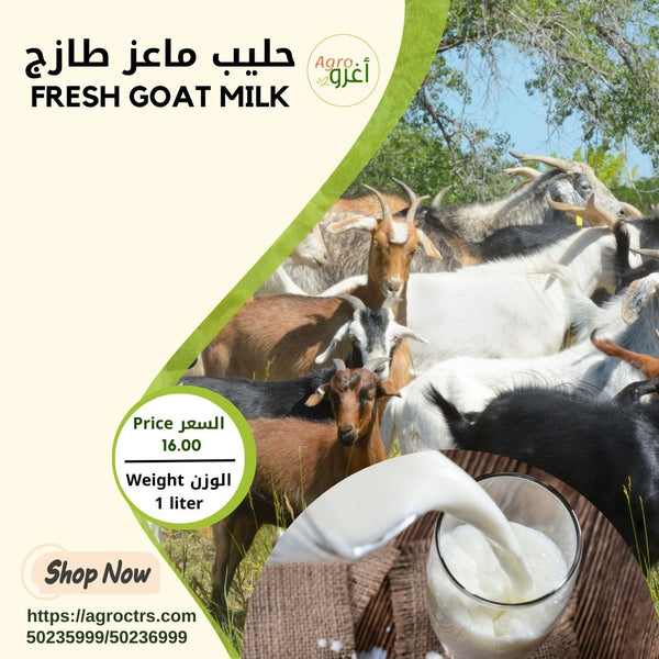 Fresh Goat Milk 1000 ml – حليب ماعز طازج 1000 مل