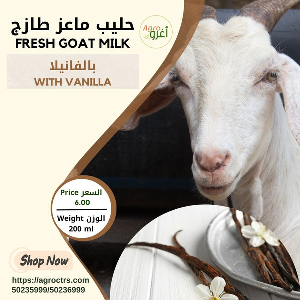 Vanilla Goat Milk 200ml – حليب ماعز بالفانيلا 200مل