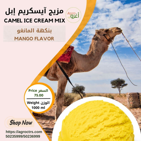 Mango Camel Ice Cream Mix1000 ml - مزيج آيسكريم إبل مانغو 1000 مل