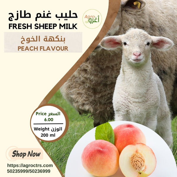 Peach Sheep Milk 200 ml – حليب غنم بالخوخ 200مل