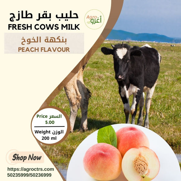 Country Cow Milk with Peach 200 ml - حليب بقر بلدي بالخوخ 200 مل