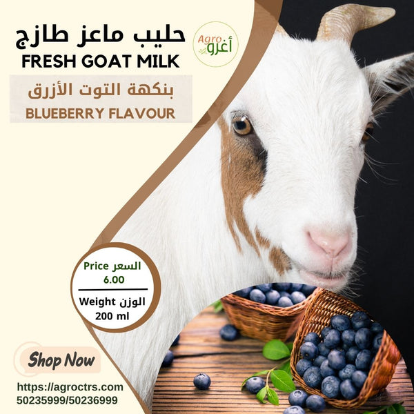 Blueberry Goat Milk 200ml – حليب ماعز بالتوت الأزرق 200مل