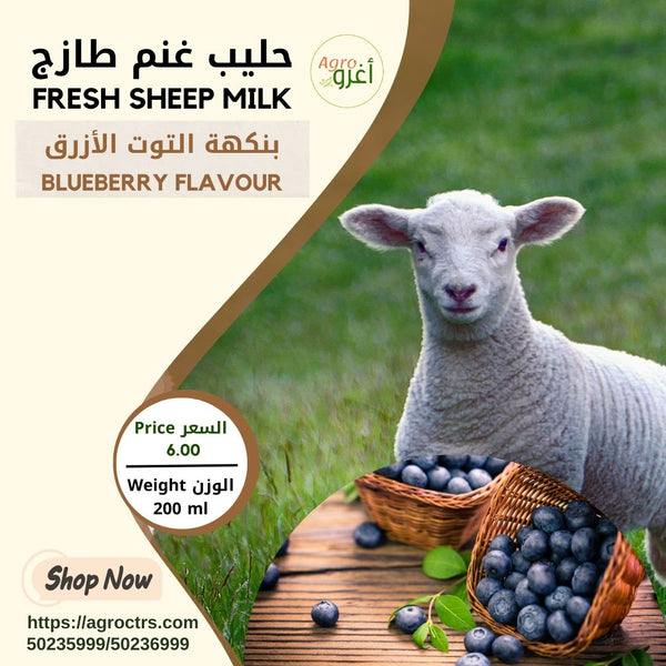 Blueberry Sheep Milk 200 ml – حليب غنم بالتوت الأزرق 200مل
