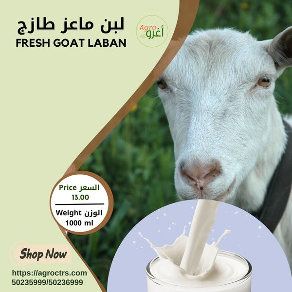 Fresh Goat Laban 1000 ml – لبن ماعز طازج 1000مل
