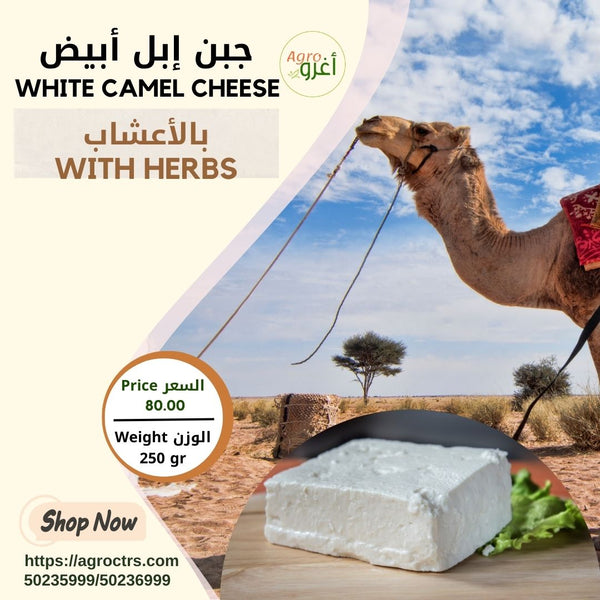 White Camel Cheese 250gr - جبن إبل أبيض بالأعشاب 250غرام