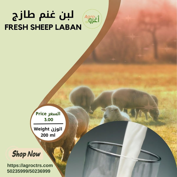 Fresh Sheep Laban 200ml – لبن غنم طازج 200مل