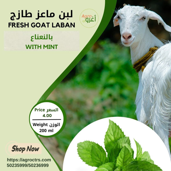 Goat Laban with Mint 200 ml – لبن ماعز بالنعناع 200 مل