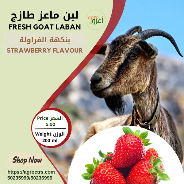 Strawberry Goat Laban 200 ml – لبن ماعز بالفراولة 200 مل