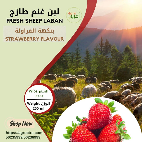 Strawberry Sheep Laban 200ml – لبن غنم بالفراولة 200مل