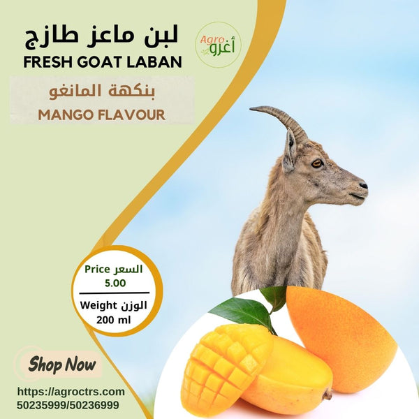 Mango Goat Laban 200 ml – لبن ماعز بالمانغو 200 مل