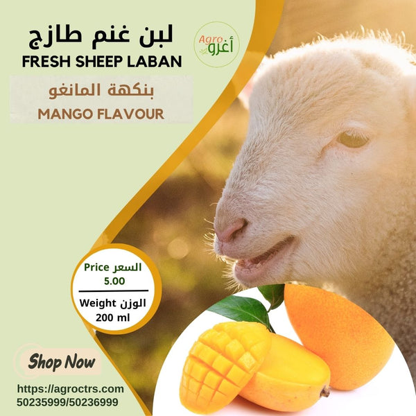 Mango Sheep Laban 200ml – لبن غنم بالمانغو 200مل