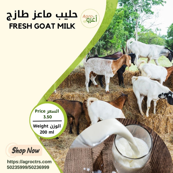 Fresh Goat Milk 200ml – حليب ماعز طازج 200مل