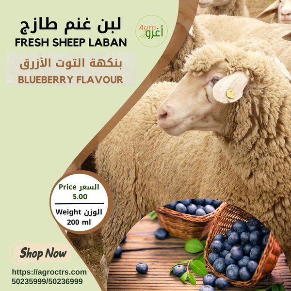 Blueberry Sheep Laban 200ml – لبن غنم بالتوت الأزرق 200مل