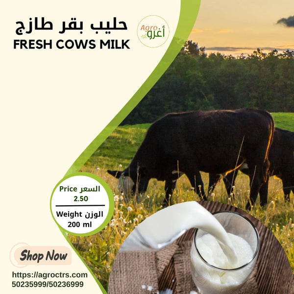 Fresh Country Cow Milk 200 ml - حليب بقر بلدي طازج 200 مل