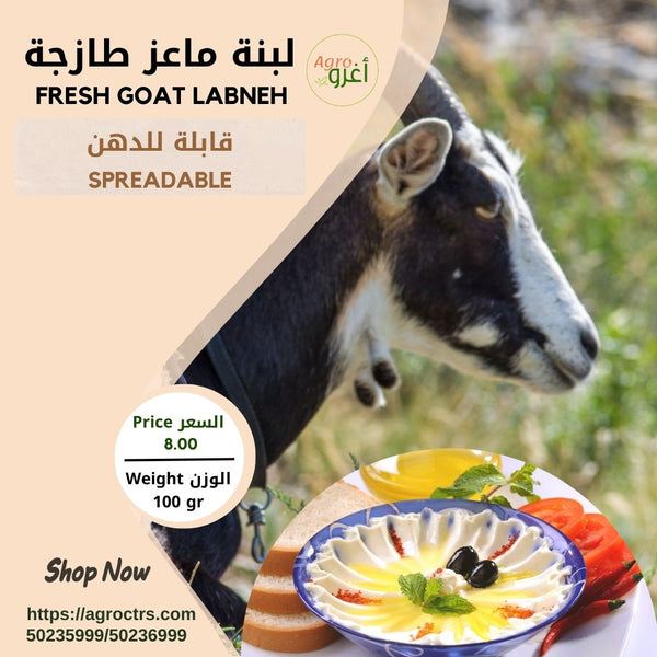 Fresh Goat Labneh 100 gr – لبنة ماعز طازجة 100 غ