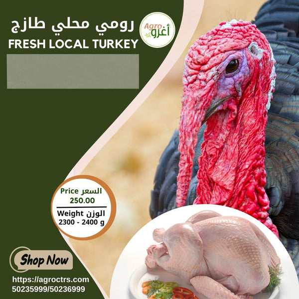 Fresh Local Turkey 2300 - 2400g  رومي محلي طازج